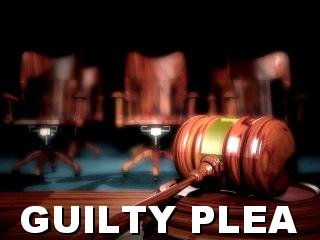 Directors plead guilty